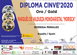 premio cinve 2020 oro